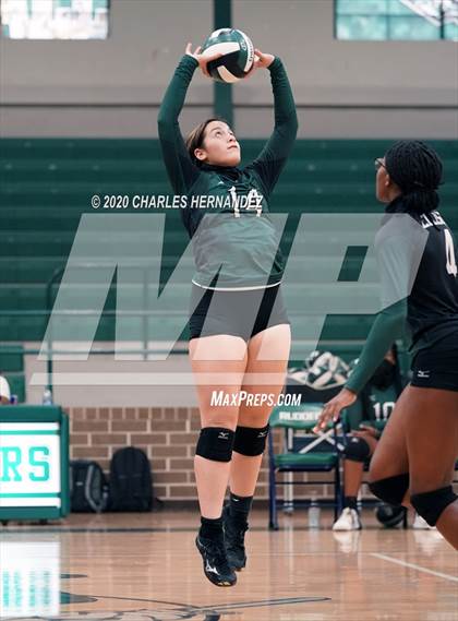 Thumbnail 2 in JV: Porter vs Ellison [C.E.] photogallery.