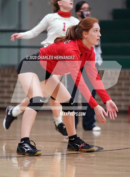Thumbnail 1 in JV: Porter vs Ellison [C.E.] photogallery.