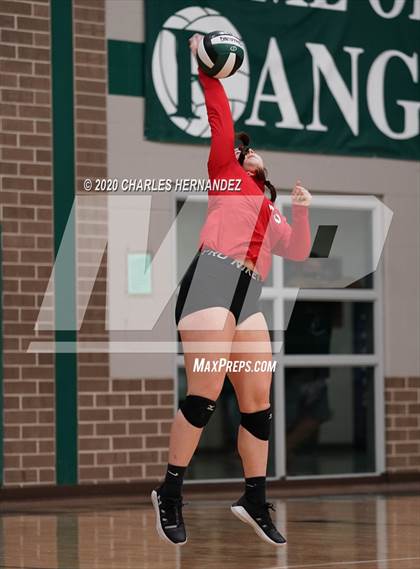 Thumbnail 2 in JV: Porter vs Ellison [C.E.] photogallery.