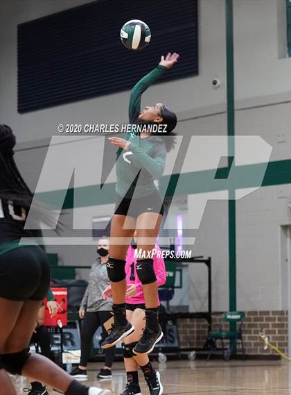 Thumbnail 2 in JV: Porter vs Ellison [C.E.] photogallery.