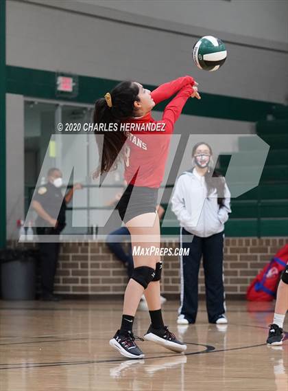 Thumbnail 3 in JV: Porter vs Ellison [C.E.] photogallery.