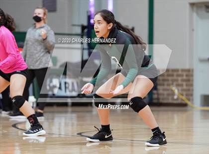 Thumbnail 3 in JV: Porter vs Ellison [C.E.] photogallery.