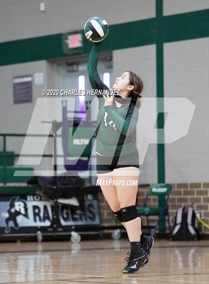 Thumbnail 1 in JV: Porter vs Ellison [C.E.] photogallery.