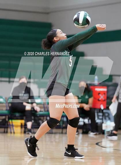 Thumbnail 2 in JV: Porter vs Ellison [C.E.] photogallery.