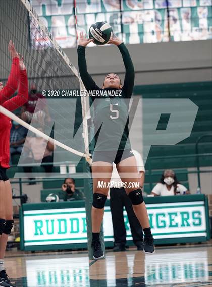 Thumbnail 3 in JV: Porter vs Ellison [C.E.] photogallery.