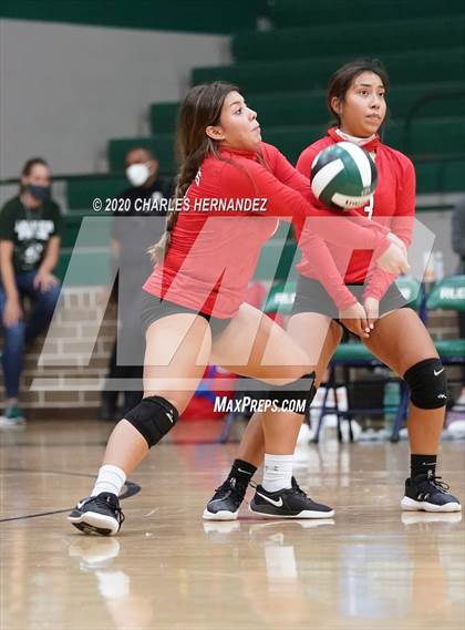 Thumbnail 3 in JV: Porter vs Ellison [C.E.] photogallery.