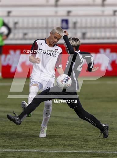 null - Photo 21