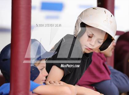 Thumbnail 1 in 23rd Annual Point Loma Varsity/Alumni Baseball Game photogallery.