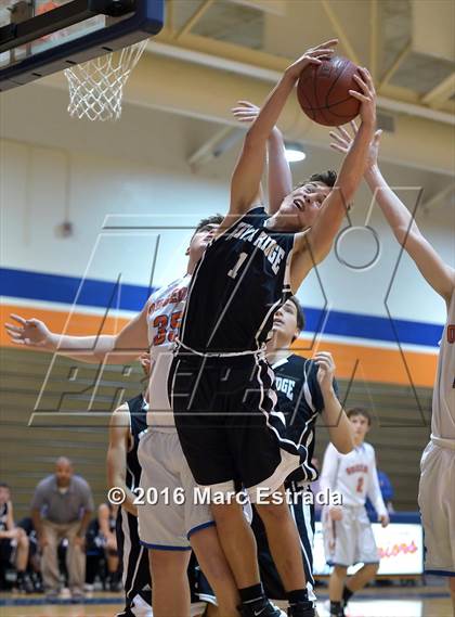 Thumbnail 3 in River Ridge @ Osceola photogallery.