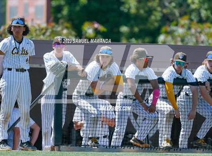Thumbnail 1 in Santiago @ Crespi (CIF SS DII Quarterfinal) photogallery.