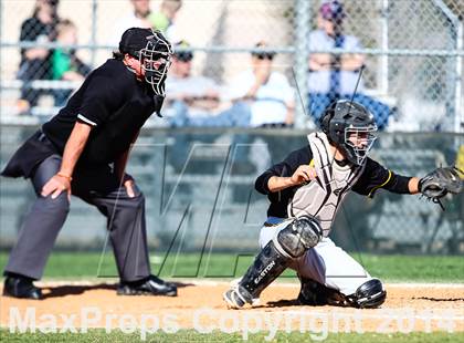 Thumbnail 2 in Garland @ Sachse photogallery.