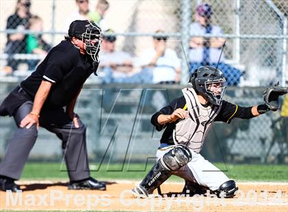Thumbnail 1 in Garland @ Sachse photogallery.