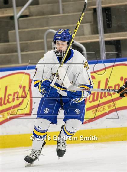 Thumbnail 2 in Mamaroneck vs. West Genesee (NYSPHSAA Division 1 Final) photogallery.