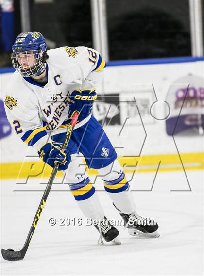 Thumbnail 3 in Mamaroneck vs. West Genesee (NYSPHSAA Division 1 Final) photogallery.