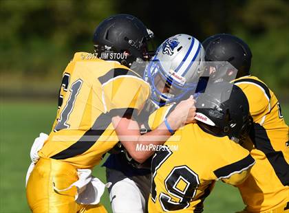 Thumbnail 1 in West Haven @ Amity photogallery.