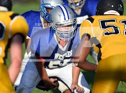 Thumbnail 1 in West Haven @ Amity photogallery.