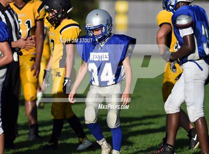 Thumbnail 1 in West Haven @ Amity photogallery.