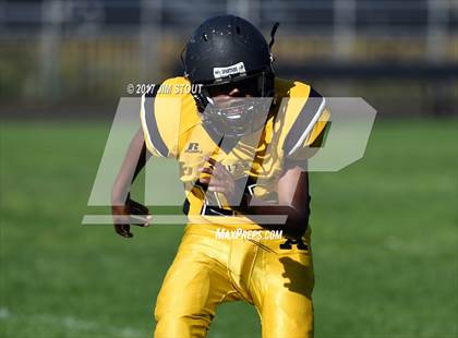 Thumbnail 1 in West Haven @ Amity photogallery.