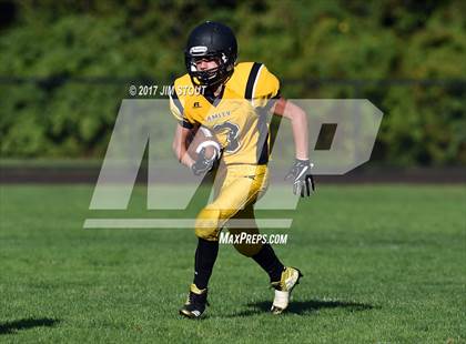 Thumbnail 1 in West Haven @ Amity photogallery.