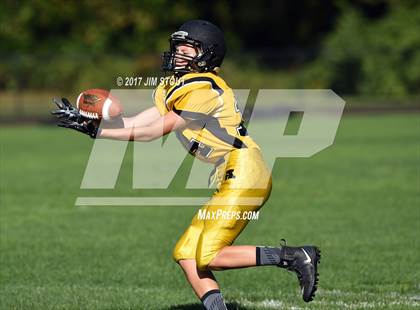 Thumbnail 3 in West Haven @ Amity photogallery.