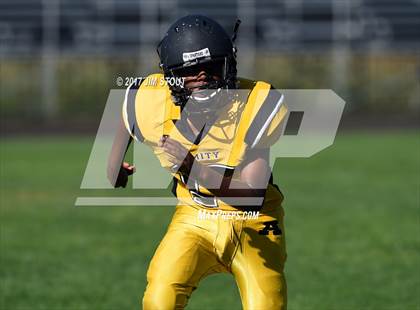 Thumbnail 3 in West Haven @ Amity photogallery.