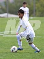 Photo from the gallery "Sparks @ McQueen"