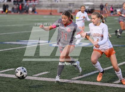 Thumbnail 2 in Lee vs Madison photogallery.