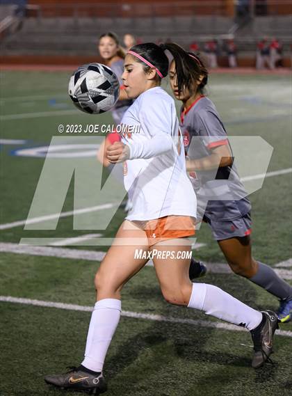 Thumbnail 2 in Lee vs Madison photogallery.