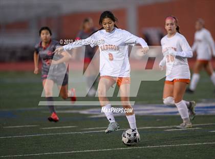 Thumbnail 2 in Lee vs Madison photogallery.