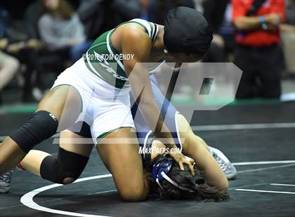 Thumbnail 1 in UIL Wrestling Championships (5A and 6A Finals) photogallery.