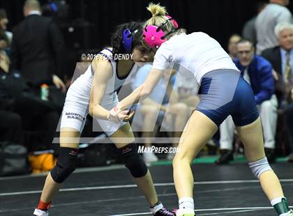Thumbnail 1 in UIL Wrestling Championships (5A and 6A Finals) photogallery.