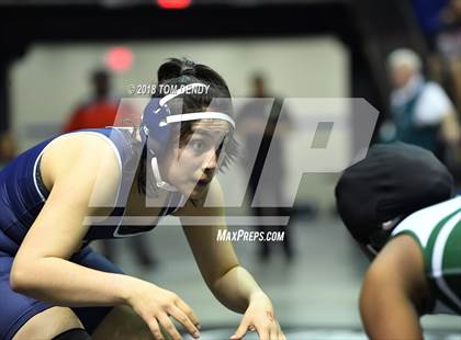 Thumbnail 3 in UIL Wrestling Championships (5A and 6A Finals) photogallery.