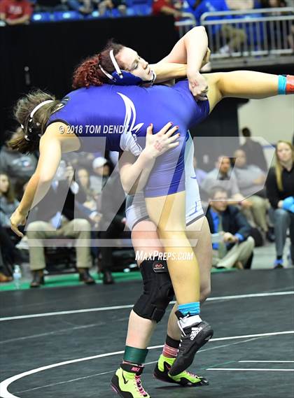 Thumbnail 1 in UIL Wrestling Championships (5A and 6A Finals) photogallery.