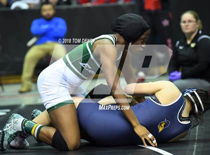 Thumbnail 1 in UIL Wrestling Championships (5A and 6A Finals) photogallery.