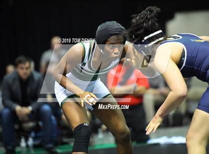Thumbnail 3 in UIL Wrestling Championships (5A and 6A Finals) photogallery.