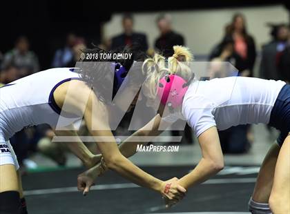 Thumbnail 2 in UIL Wrestling Championships (5A and 6A Finals) photogallery.