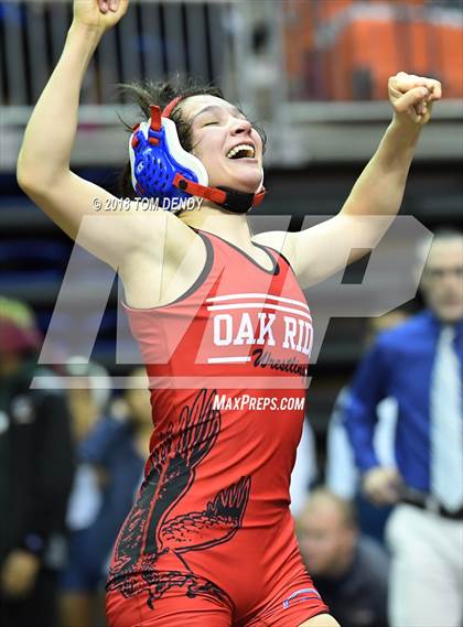 Thumbnail 3 in UIL Wrestling Championships (5A and 6A Finals) photogallery.