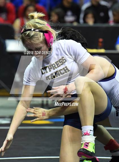 Thumbnail 1 in UIL Wrestling Championships (5A and 6A Finals) photogallery.