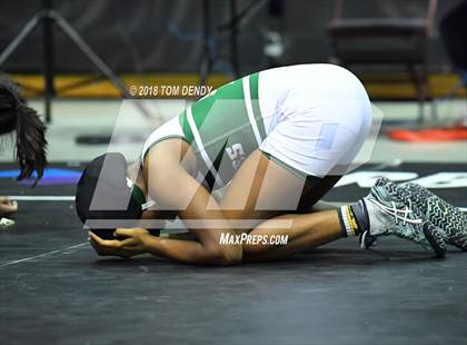 Thumbnail 2 in UIL Wrestling Championships (5A and 6A Finals) photogallery.