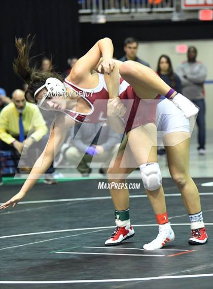 Thumbnail 2 in UIL Wrestling Championships (5A and 6A Finals) photogallery.