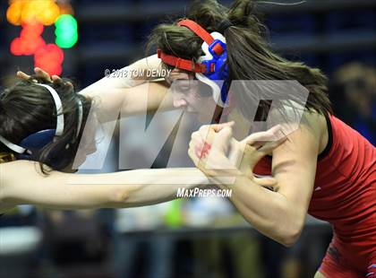 Thumbnail 1 in UIL Wrestling Championships (5A and 6A Finals) photogallery.
