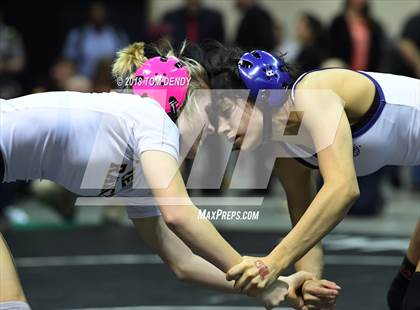 Thumbnail 1 in UIL Wrestling Championships (5A and 6A Finals) photogallery.