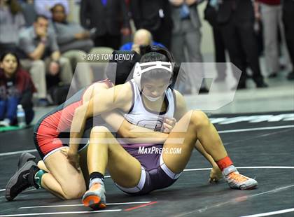 Thumbnail 1 in UIL Wrestling Championships (5A and 6A Finals) photogallery.