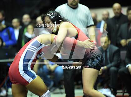 Thumbnail 2 in UIL Wrestling Championships (5A and 6A Finals) photogallery.
