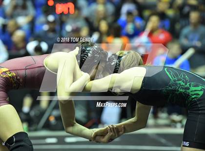 Thumbnail 3 in UIL Wrestling Championships (5A and 6A Finals) photogallery.