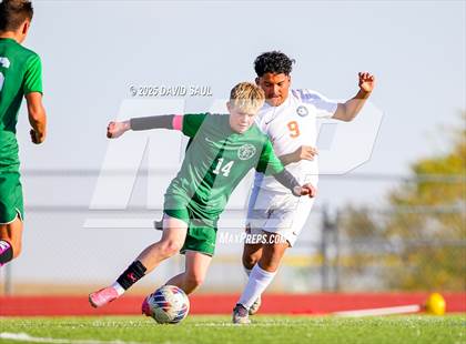 Thumbnail 1 in JV: Mitchell @ Falcon photogallery.