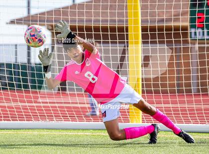 Thumbnail 1 in JV: Mitchell @ Falcon photogallery.