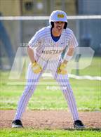 Photo from the gallery "Hoover @ Muir"