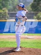 Photo from the gallery "Hoover @ Muir"