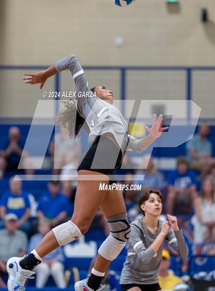 Thumbnail 3 in Harlan @ Alamo Heights photogallery.